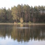 IMG_2800 IMG_2800