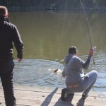 IMG_2917 IMG_2917