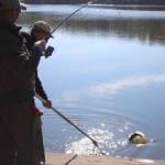 IMG_2938 IMG_2938