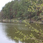 IMG_2979 IMG_2979