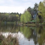 IMG_3024 IMG_3024