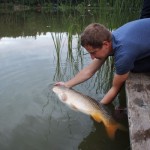 IMG_3550 IMG_3550