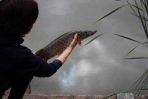 IMG_3557