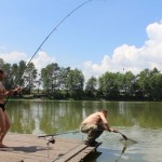 IMG_3637 IMG_3637