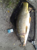 IMG_20160802_111530