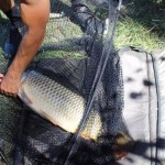 IMG_3986 IMG_3986