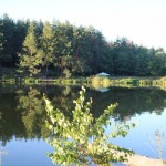 IMG_4004 IMG_4004
