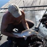 IMG_4030 IMG_4030