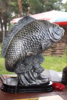 IMG_4056