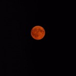 IMG-20160917-WA0002