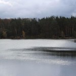 IMG_4385