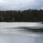 IMG_4385 IMG_4385