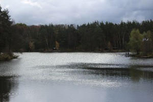 IMG_4385