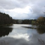 IMG_4386