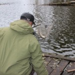 IMG_4489