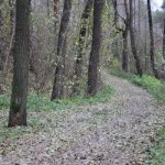 IMG_4496