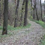 IMG_4496