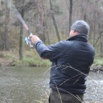 IMG_4498 IMG_4498