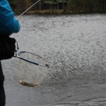 IMG_4514 IMG_4514
