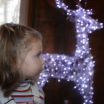 IMG_4571 IMG_4571