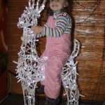 IMG_4588 IMG_4588