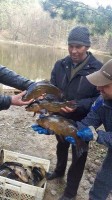 FB_IMG_1489968851939