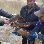 FB_IMG_1489968851939