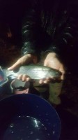 FB_IMG_1489968878498