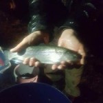 FB_IMG_1489968878498
