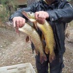 FB_IMG_1489968884635