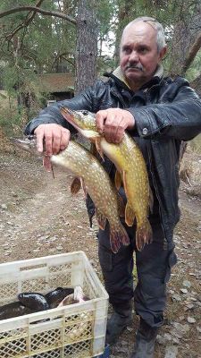 FB_IMG_1489968884635