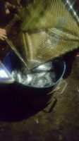 FB_IMG_1489968977054