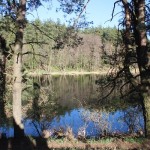 IMG_9644 IMG_9644