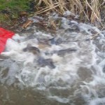 image-0-02-05-9a0c3cbc21a36721474fd5ac012158748b8b15af3f707ab9521cb5c34ed8a242-V image-0-02-05-9a0c3cbc21a36721474fd5ac012158748b8b15af3f707ab9521cb5c34ed8a242-V