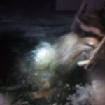 image-0-02-05-c1eb902c836c1df015d80f0837709c44a0c6331d2a9c5a7ff55c0f2ef2d0d0ee-V