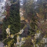 image-0-02-05-9d77b0e9edaa57321d641e815fdb80312eddeb5b2fd68e7efbe8b8c4a03d225a-V