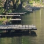 мостики_у_воды