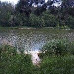 20170610_123916 20170610_123916