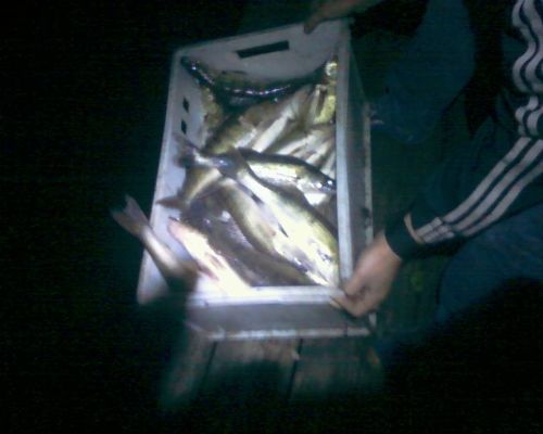 image-0-02-04-be6ea10e32ee105af9657b4ccc0702227872645c856d0a25cb7fc41f3f2cc1e5-V