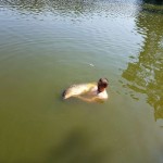 IMG-858b1f6aaf8ac2b1eddd8b3f3d55286c-V