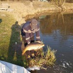 FB_IMG_1586692875943