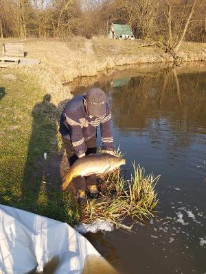 FB_IMG_1586692875943