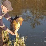 FB_IMG_1586692896974