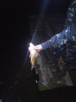 IMG-90afbd9c34f68c6ec52fed3b9ac615f6-V